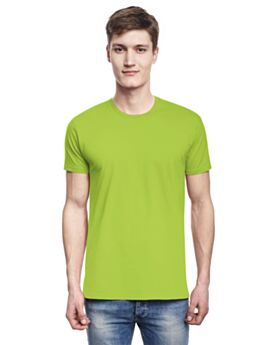 Kiwi-Front