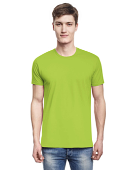 Kiwi-Front