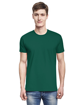 Tanne-Front